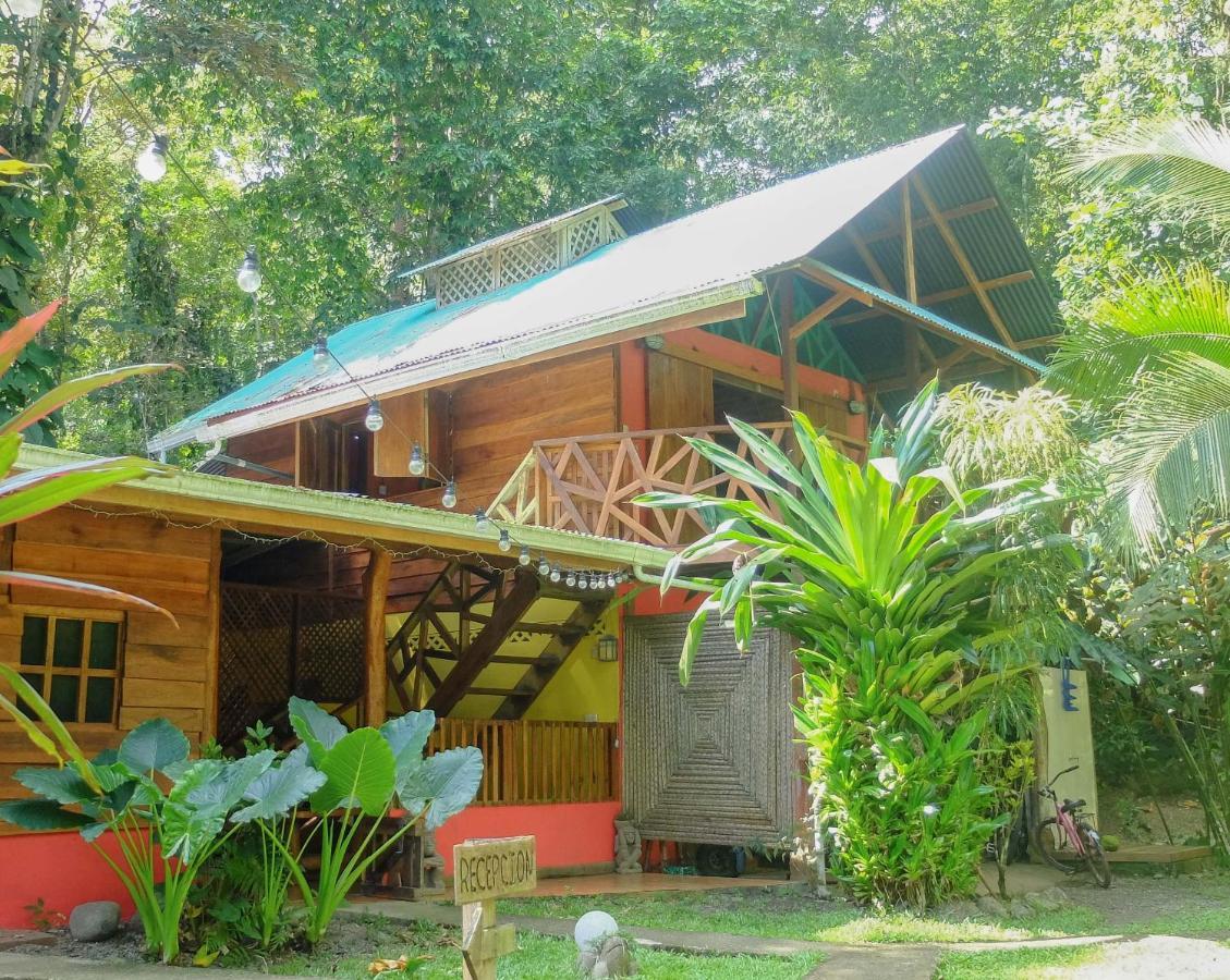 Casa Moabi Bed and Breakfast Cocles Rum bild
