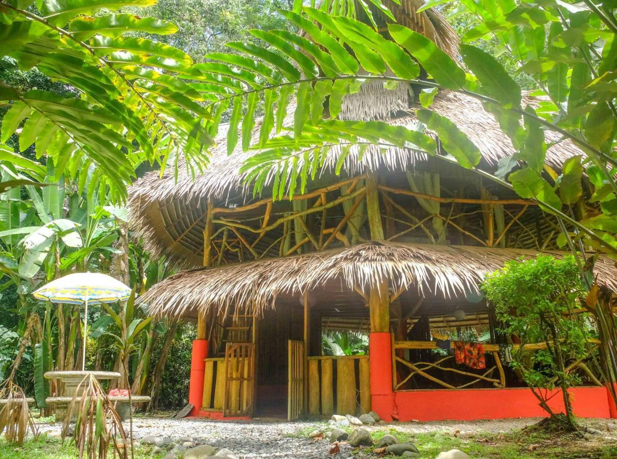 Casa Moabi Bed and Breakfast Cocles Rum bild