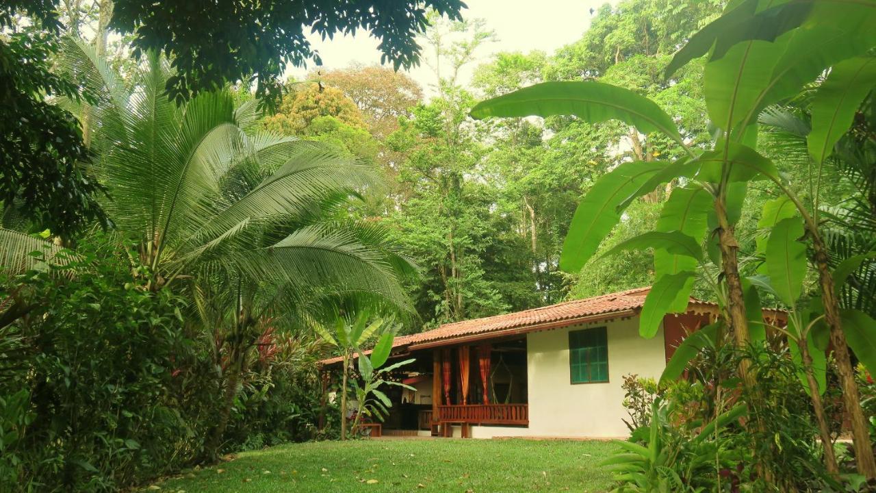 Casa Moabi Bed and Breakfast Cocles Exteriör bild