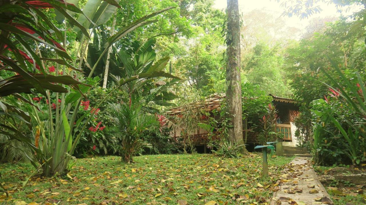Casa Moabi Bed and Breakfast Cocles Exteriör bild